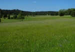 Dvojdomí.
