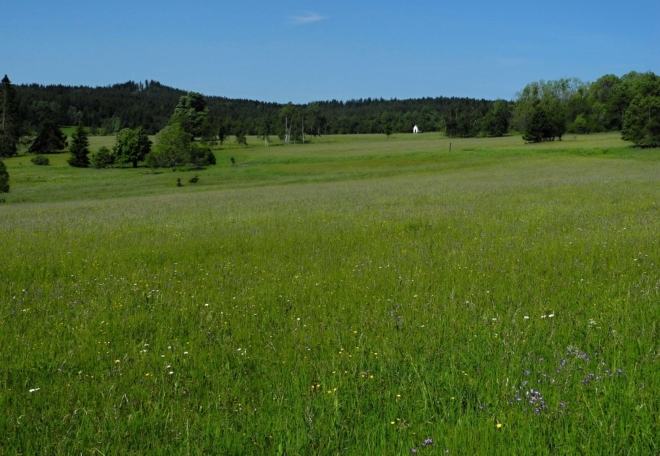 Dvojdomí.