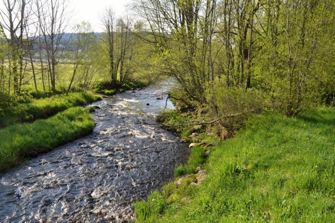 Teplá Vltava v Borových Ladech.