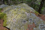 L. P. 1728.