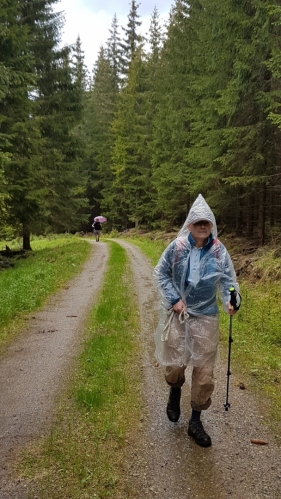 Pod Liščí horou sprchlo.