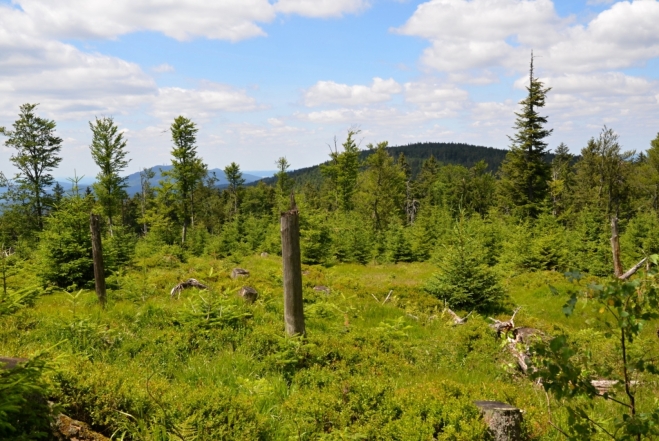 Pohled na Helmwald, další tisícovku na hranici.