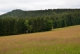 Pancíř.