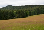 Pancíř.