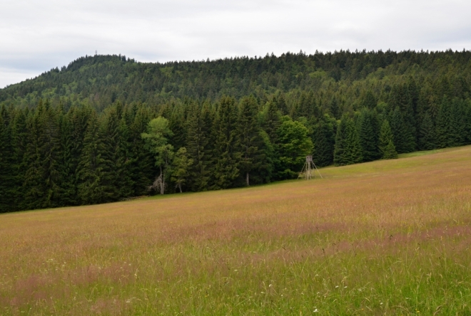 Pancíř.