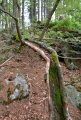 Korýtko.