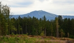Sestup z vrcholu Zámeckého lesa k Debrníku odhalil nejvyšší vrchol Šumavy, Velký Javor.