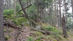 Hřeben má vrcholy dva, ten druhý je sice nižší, zato skalnatý a s přírodním křížem.