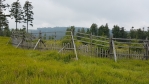 Vrchol Jedlové je bezlesí. Jako většina vrcholů Šumavy. Kůrovec spolu s experimentem NP Šumava přinesl své ovoce. Tedy spíš šišky, které nemocný les hustě plodí před svojí zkázou.