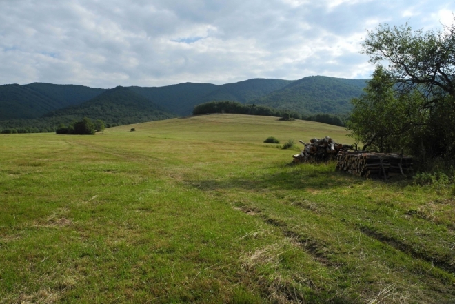 Pohled od Runiny k hraničnímu hřebenu Bukovských vrchů.