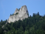 Jedna Koruna.