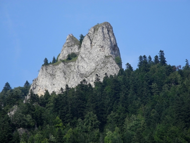 Jedna Koruna.