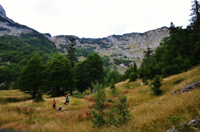 Crepulj poľana.