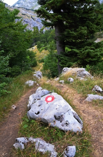 Značení je jednoduché a musíte kontrolovat, kam vede.