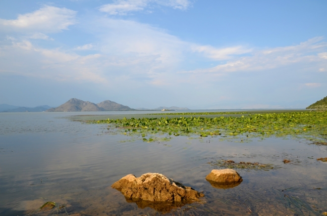 6. Skadarské jezero - Černá Hora