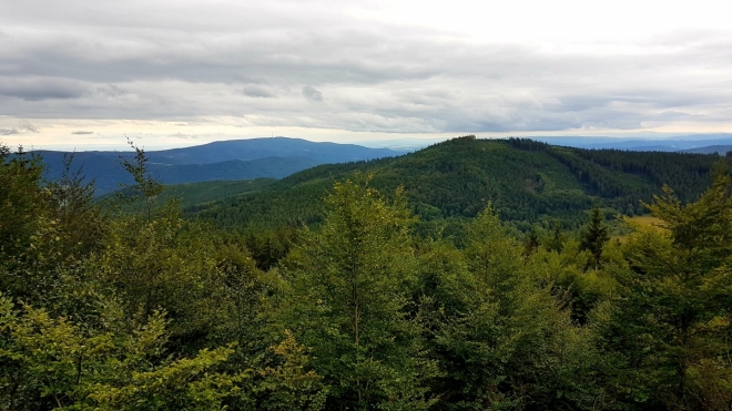 Výhled z cesty, která obtáčí horní část vrcholu Chlum (1 191 m n. m.) je velkolepý. Dole Velký Plešný, v pozadí Kleť.