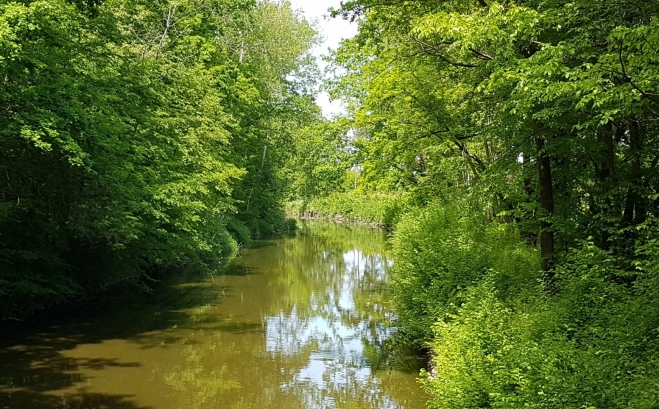 Lužnice.