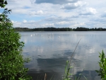 Nový Vdovec.
