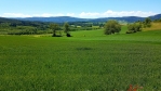 Vrchol Sedlo.