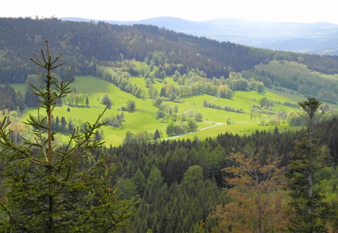 Přemyslovské sedlo.