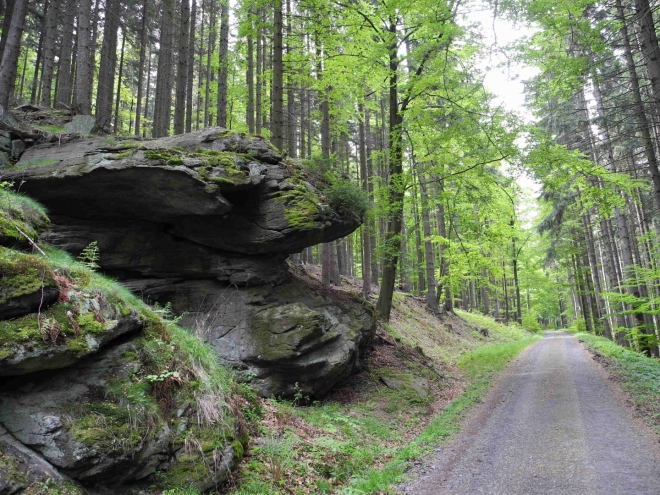 Pod vrcholem Plošiny.