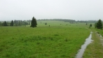 Zamokřená cesta k vrcholu Nad Rýžovnou.