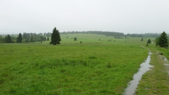 Zamokřená cesta k vrcholu Nad Rýžovnou.