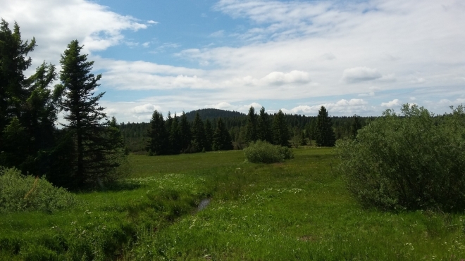 Božidarský Špičák.