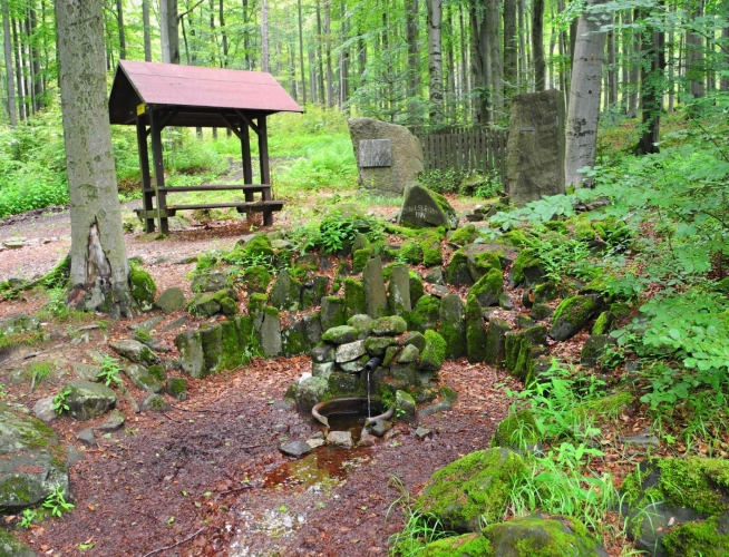 Karlova studánka s odpočívadlem byla vybudována na památku krušnohorských lesníků, kteří se zasloužili o obnovu lesních porostů na hřebenech Krušných hor. Vlivem imisní kalamity došlo v 2. polovině 20. století k odlesnění plochy 40 000 ha. To praví pamětní deska na kameni za studánkou. (www.mapy.cz)