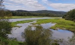 Vltava u Nové Pece.