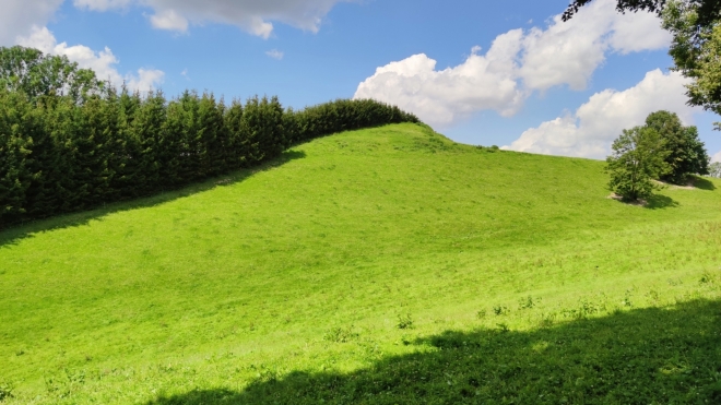 Krejsův kopec u Kunvaldu. 