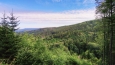 Kozí hřbety nad Olešnicí.