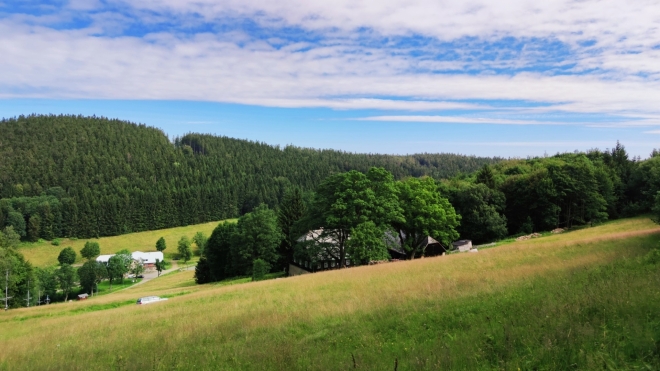 Čihalka. 