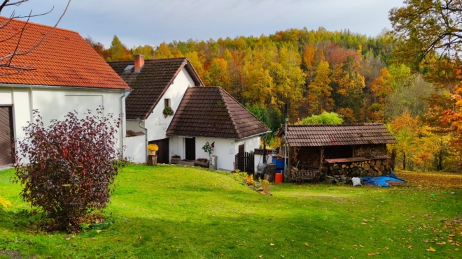 Bavorovské Svobodné Hory. 