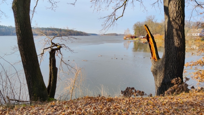 Bezdrev. 