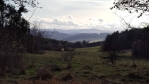 Průhled mezi stromy ukazuje Hamerské Tatry u Hořic na  Šumavě. 