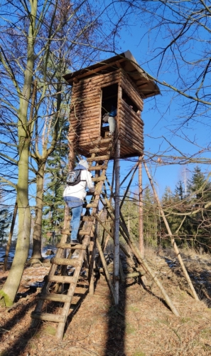 Vrcholová rozhledna na Libějovickém vrchu (607 m n. m.). 