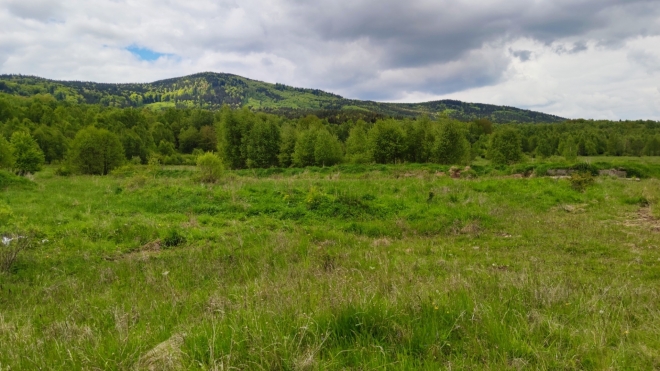 Plešný (1 066 m n. m.). 