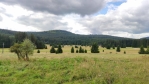 Krajina u Žofína.