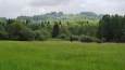 Před Přimdou. 