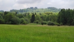 Před Přimdou. 