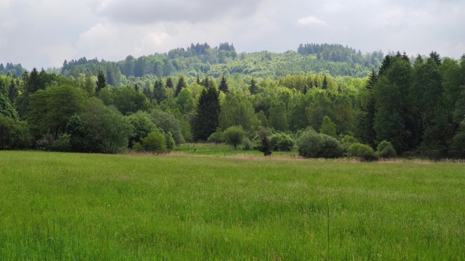 Před Přimdou. 