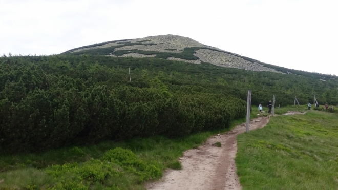 Šišak. 