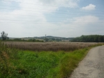 Pohled na krajinku