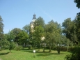 Zalesněný kostel