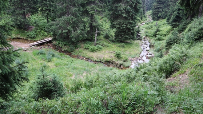 Hučivá Desná. 
