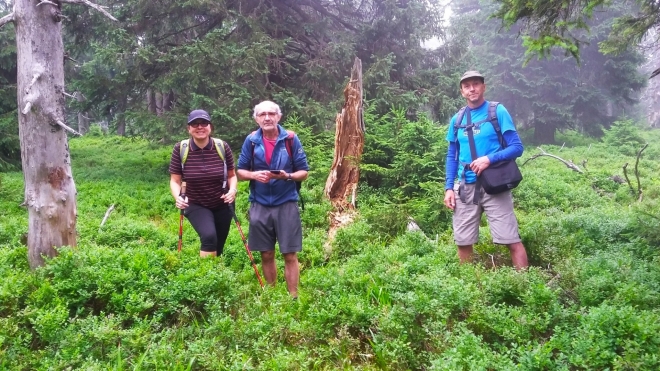 V nejvyšším bodu Spáleného vrchu-SV (1 313 m n. m.). 