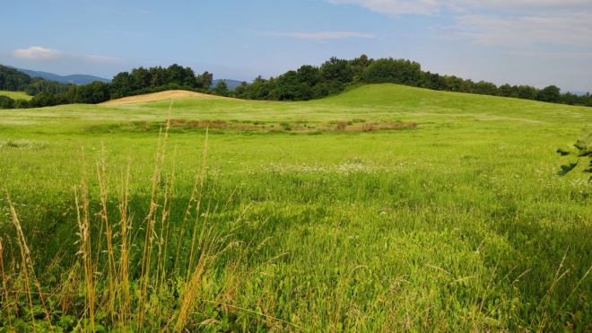 Vlčické pahorky. 