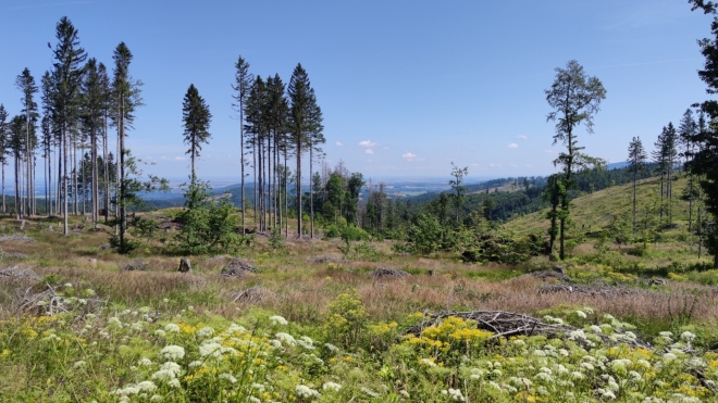Paseka odhaluje pohled k Biskupské kopě.