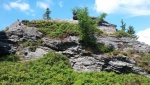 Vrcholové skály na Ostružné (1 184 m n. m.)... 